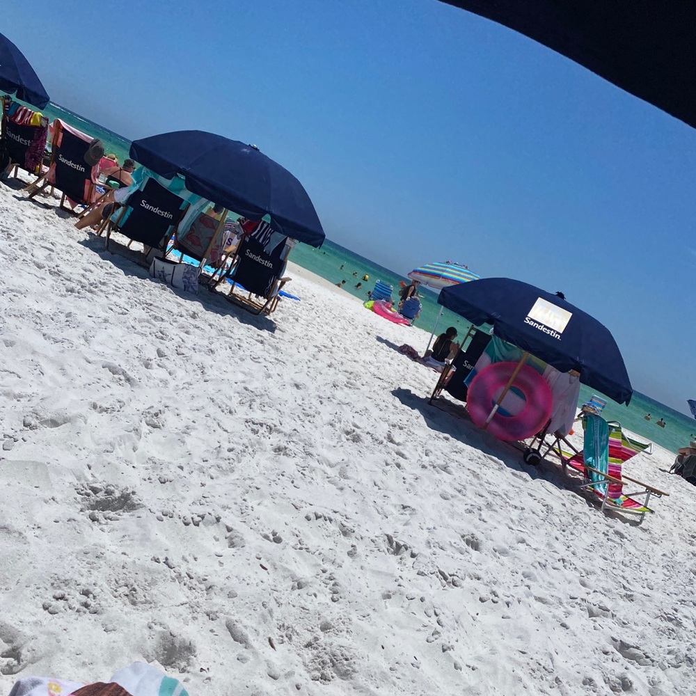 Meet your Posher, Paul